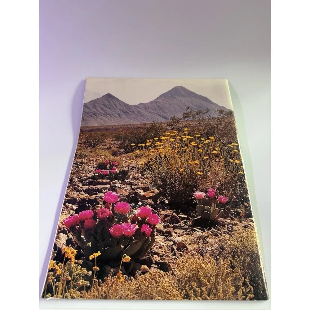 N/A death valley